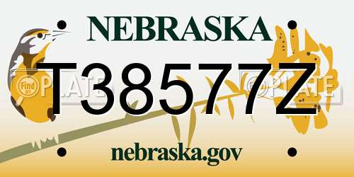 T38577Z Nebraska License Plate
