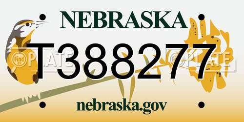 T388277 Nebraska License Plate