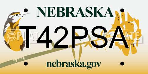 T42PSA Nebraska License Plate
