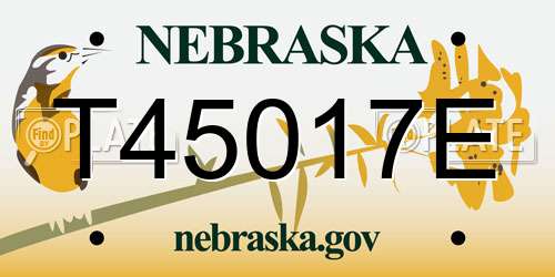 T45017E Nebraska License Plate