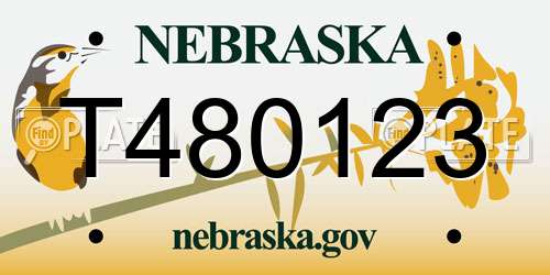 T480123 Nebraska License Plate