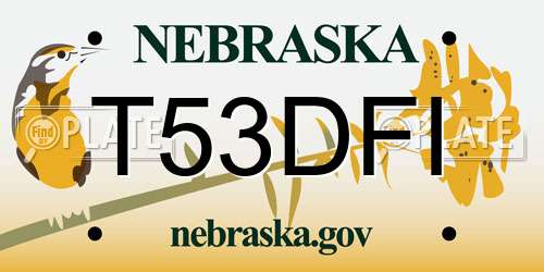 T53DFI Nebraska License Plate