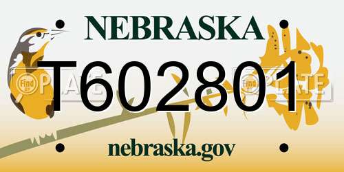 T602801 Nebraska License Plate