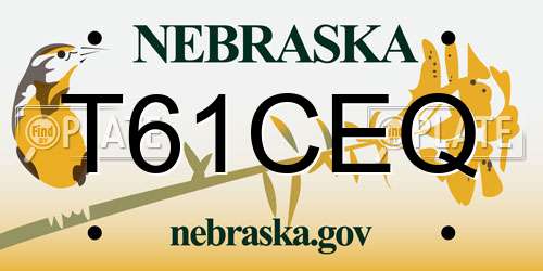 T61CEQ Nebraska License Plate