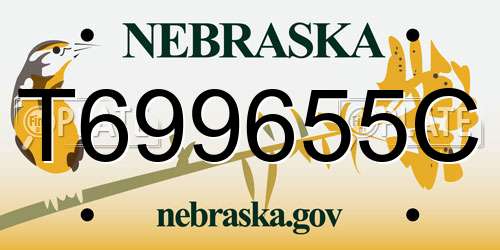 T699655C Nebraska License Plate