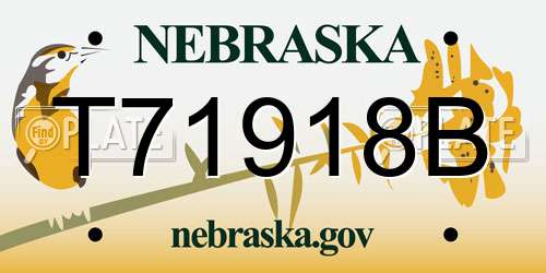 T71918B Nebraska License Plate