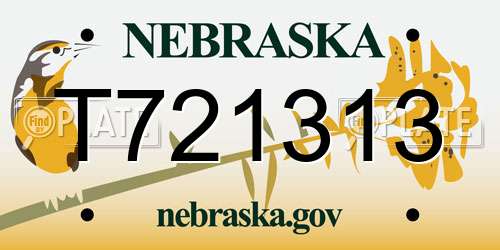 T721313 Nebraska License Plate
