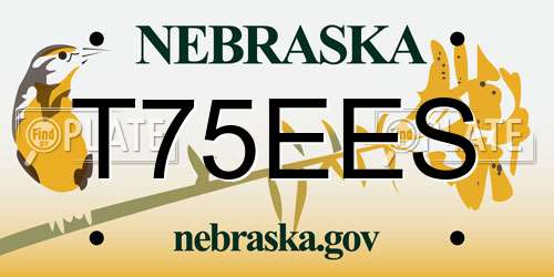 T75EES Nebraska License Plate