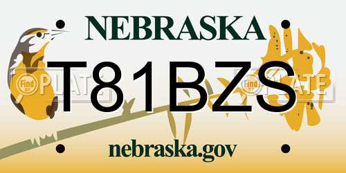 T81BZS Nebraska License Plate