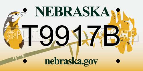 T9917B Nebraska License Plate