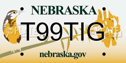 T99TIG Nebraska License Plate