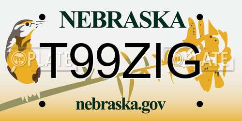 T99ZIG Nebraska License Plate