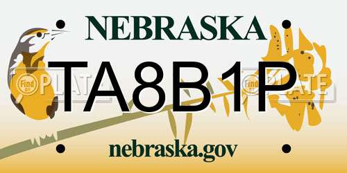 TA8B1P Nebraska License Plate