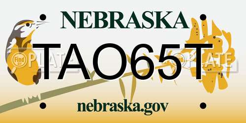 TAO65T Nebraska License Plate