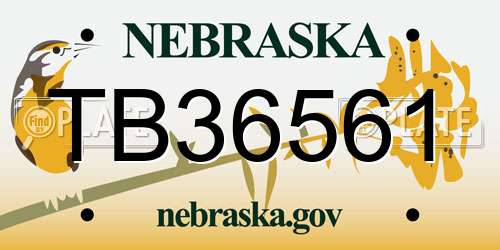 TB36561 Nebraska License Plate