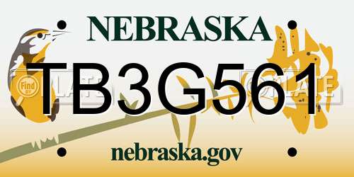 TB3G561 Nebraska License Plate