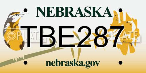 TBE287 Nebraska License Plate