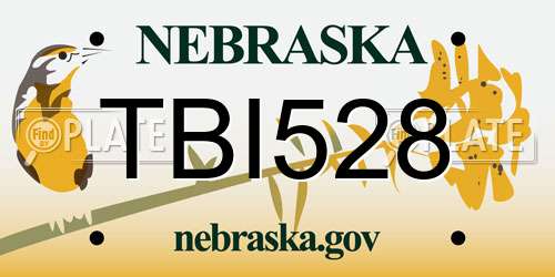 TBI528 Nebraska License Plate