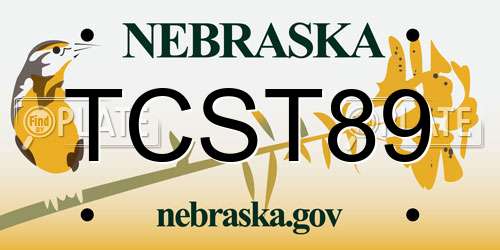 TCST89 Nebraska License Plate