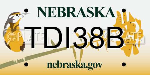TDI38B Nebraska License Plate