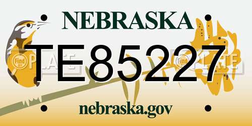 TE85227 Nebraska License Plate