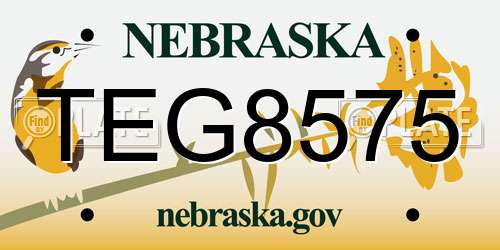 TEG8575 Nebraska License Plate