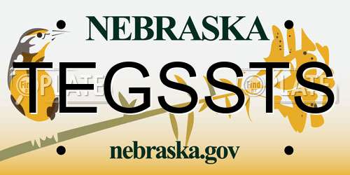 TEGSSTS Nebraska License Plate