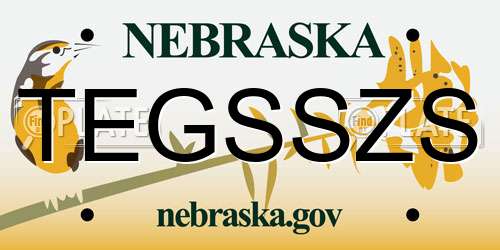TEGSSZS Nebraska License Plate