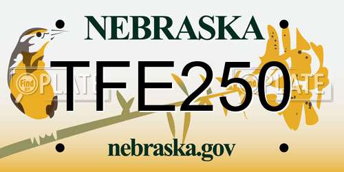 TFE250 Nebraska License Plate