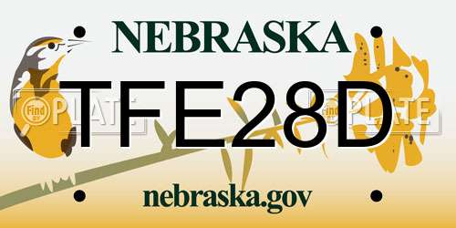 TFE28D Nebraska License Plate