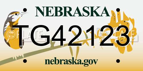 TG42123 Nebraska License Plate