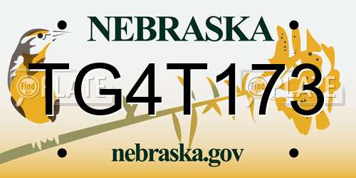 TG4T173 Nebraska License Plate