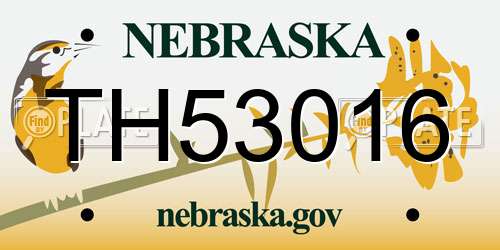 TH53016 Nebraska License Plate