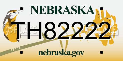 TH82222 Nebraska License Plate