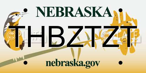 THBZTZT Nebraska License Plate