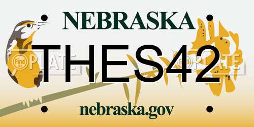 THES42 Nebraska License Plate