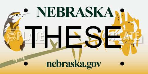 THESE Nebraska License Plate