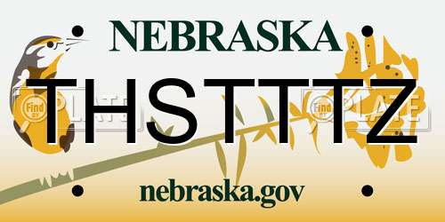 THSTTTZ Nebraska License Plate
