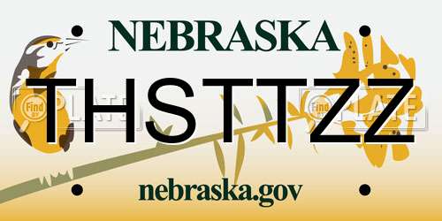 THSTTZZ Nebraska License Plate