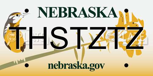 THSTZTZ Nebraska License Plate