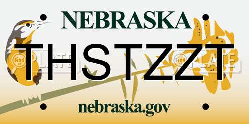 THSTZZT Nebraska License Plate