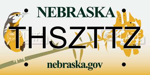 THSZTTZ Nebraska License Plate