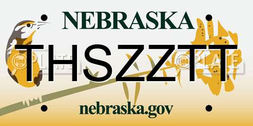 THSZZTT Nebraska License Plate