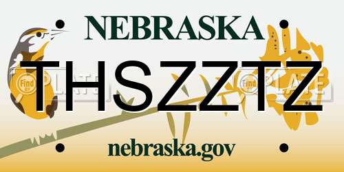 THSZZTZ Nebraska License Plate