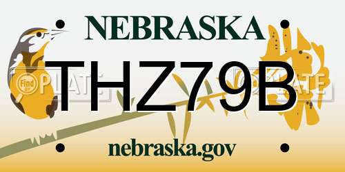 THZ79B Nebraska License Plate