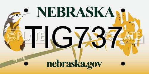 TIG737 Nebraska License Plate