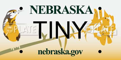 TINY Nebraska License Plate