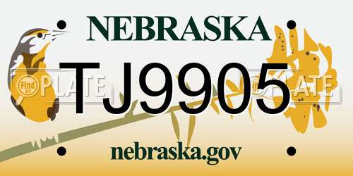TJ9905 Nebraska License Plate