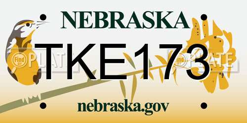 TKE173 Nebraska License Plate