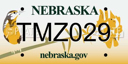 TMZ029 Nebraska License Plate